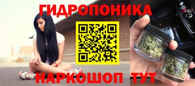 скорость Можга