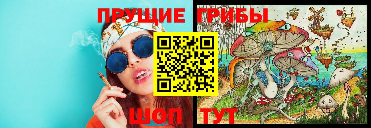 Чита  Псилоцибиновые грибы прущие грибы  Галлюциногенные грибы Magic Shrooms  Вход с VPN 